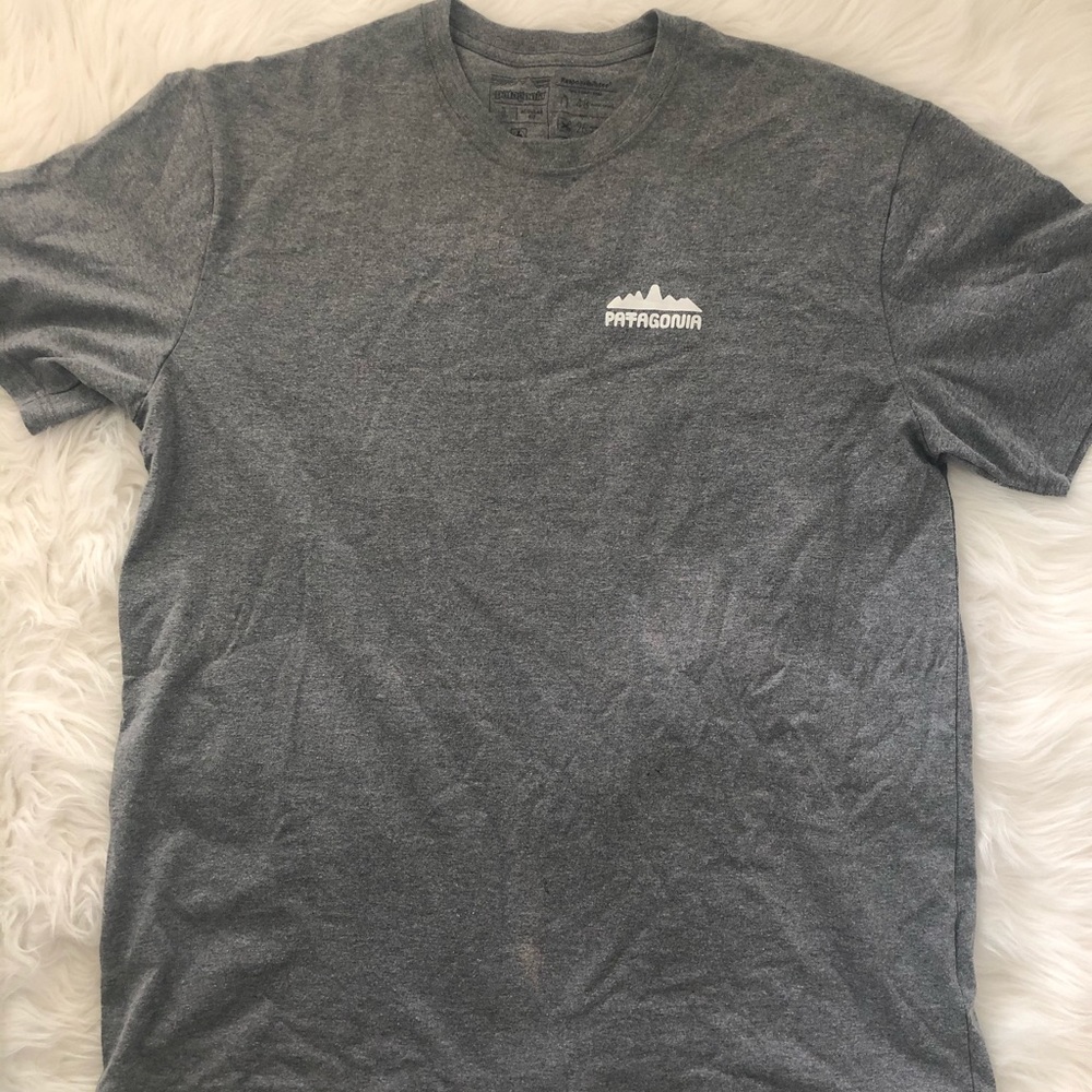 Gray Men’s Patagonia T-shirt